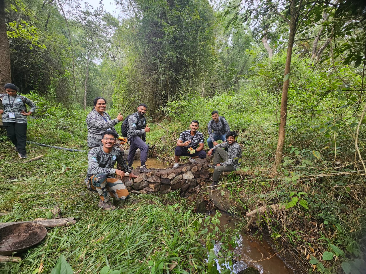 Forest restoration
